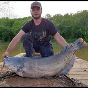 Meet your Posher, Thomas